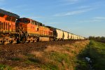 BNSF 4345 Roster shot